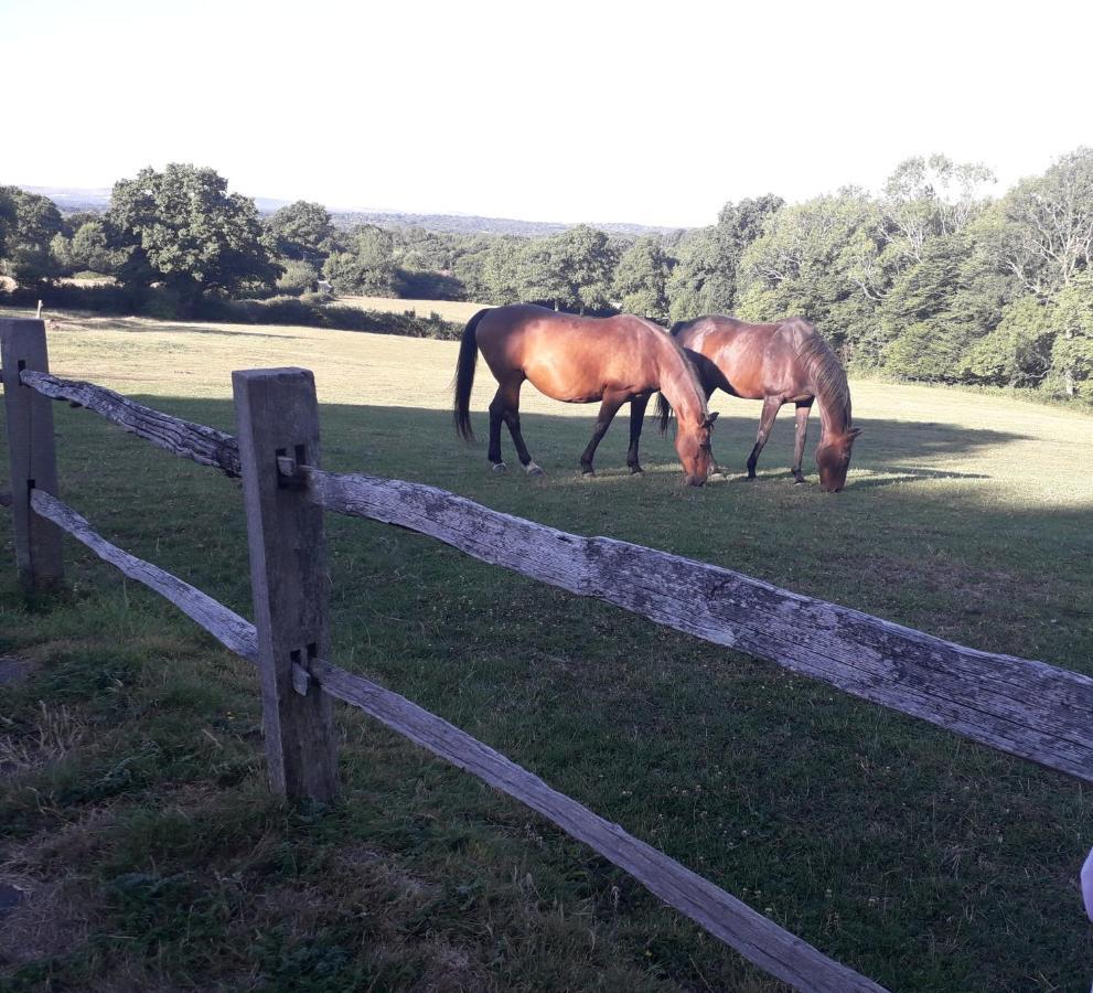 Moaps Farm B&B Support Small Business, Welcome, Check In From 5 Pm Danehill Zewnętrze zdjęcie