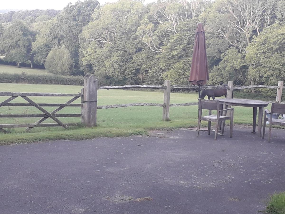 Moaps Farm B&B Support Small Business, Welcome, Check In From 5 Pm Danehill Zewnętrze zdjęcie