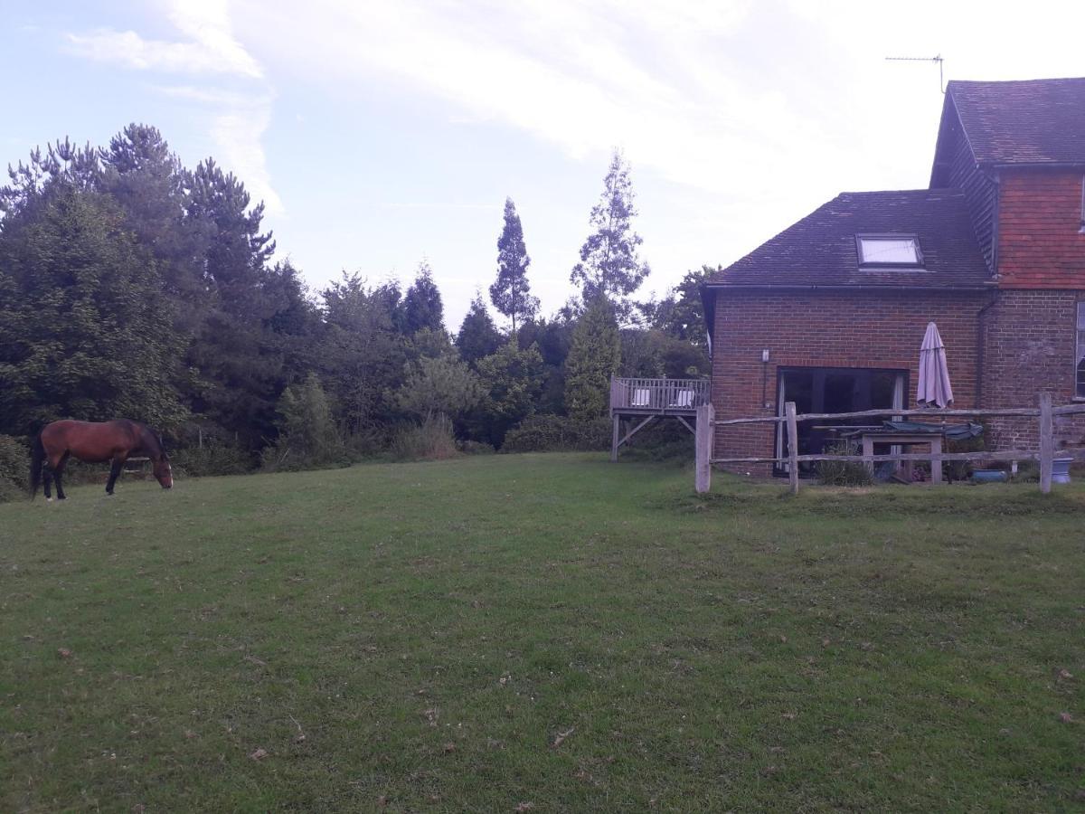 Moaps Farm B&B Support Small Business, Welcome, Check In From 5 Pm Danehill Zewnętrze zdjęcie