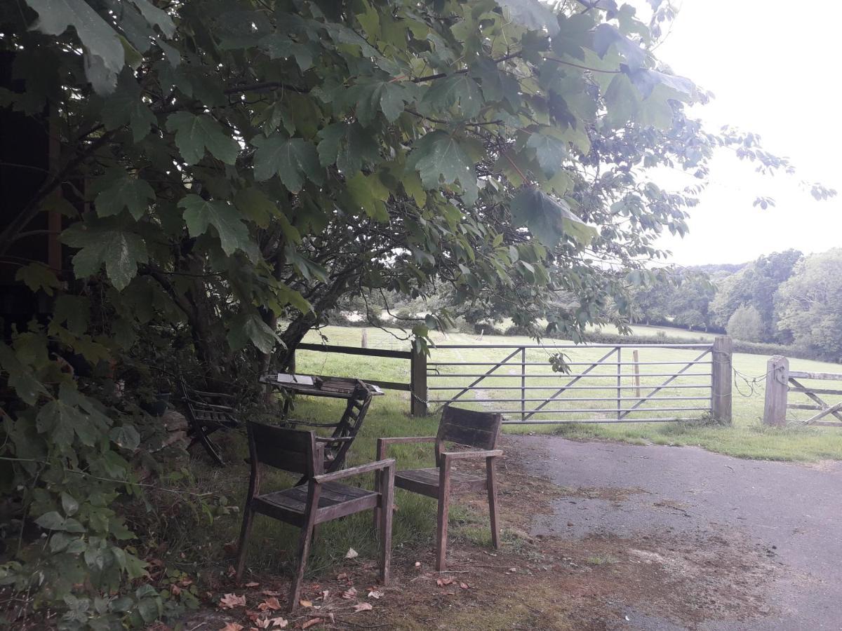 Moaps Farm B&B Support Small Business, Welcome, Check In From 5 Pm Danehill Zewnętrze zdjęcie