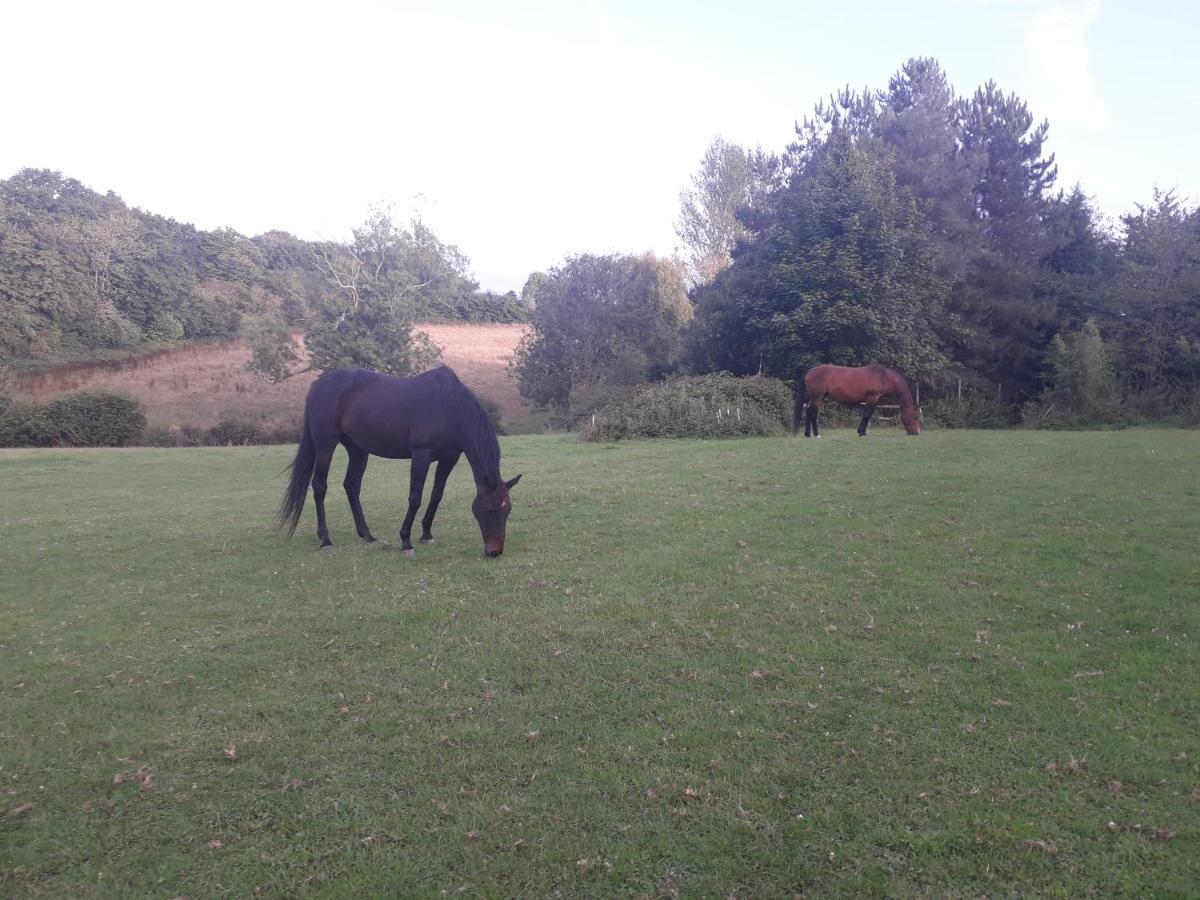 Moaps Farm B&B Support Small Business, Welcome, Check In From 5 Pm Danehill Zewnętrze zdjęcie