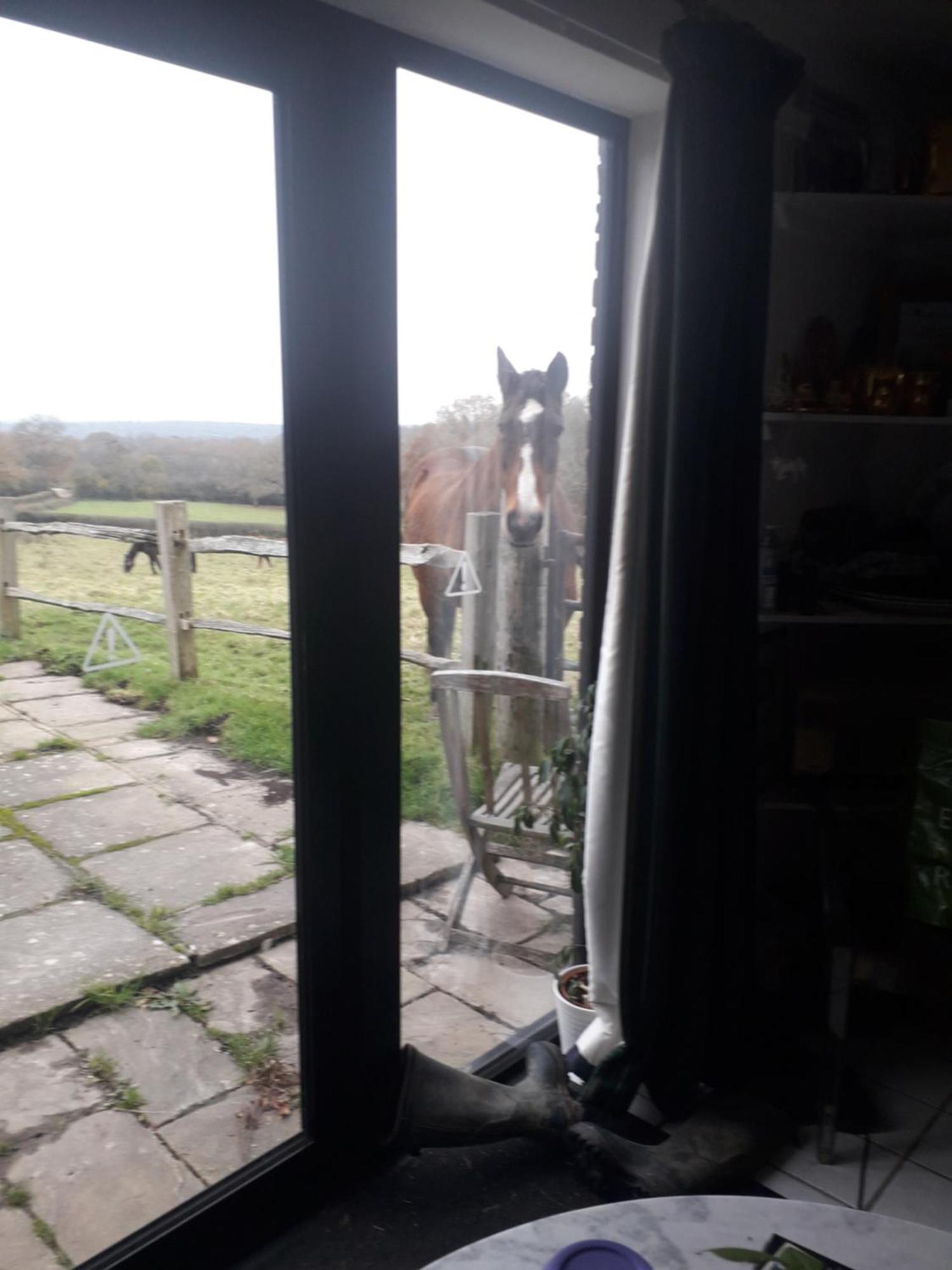 Moaps Farm B&B Support Small Business, Welcome, Check In From 5 Pm Danehill Zewnętrze zdjęcie