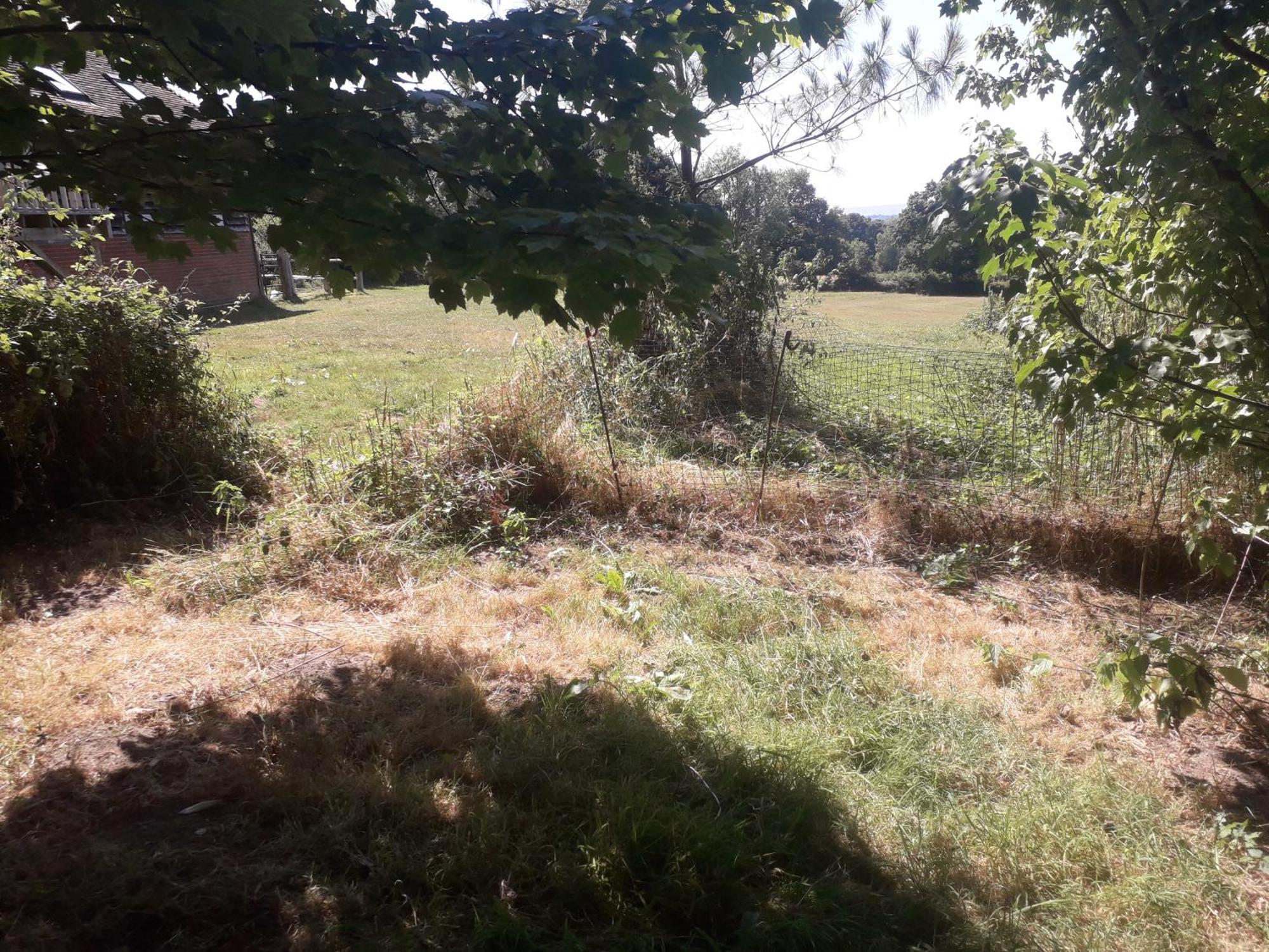 Moaps Farm B&B Support Small Business, Welcome, Check In From 5 Pm Danehill Zewnętrze zdjęcie