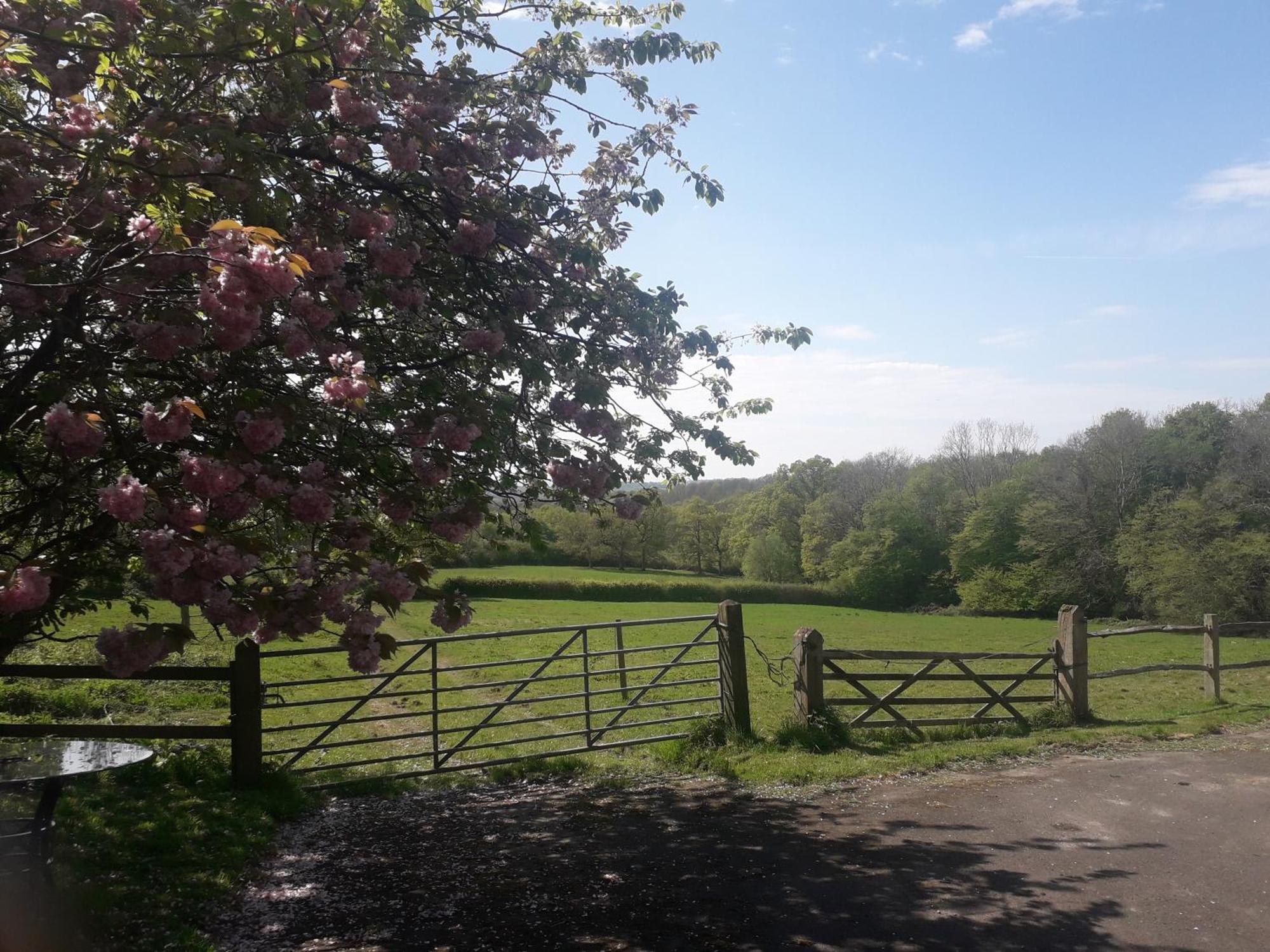 Moaps Farm B&B Support Small Business, Welcome, Check In From 5 Pm Danehill Zewnętrze zdjęcie